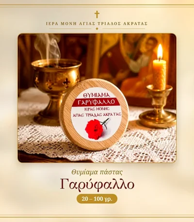 Θυμίαμα Πάστας Γαρύφαλλο